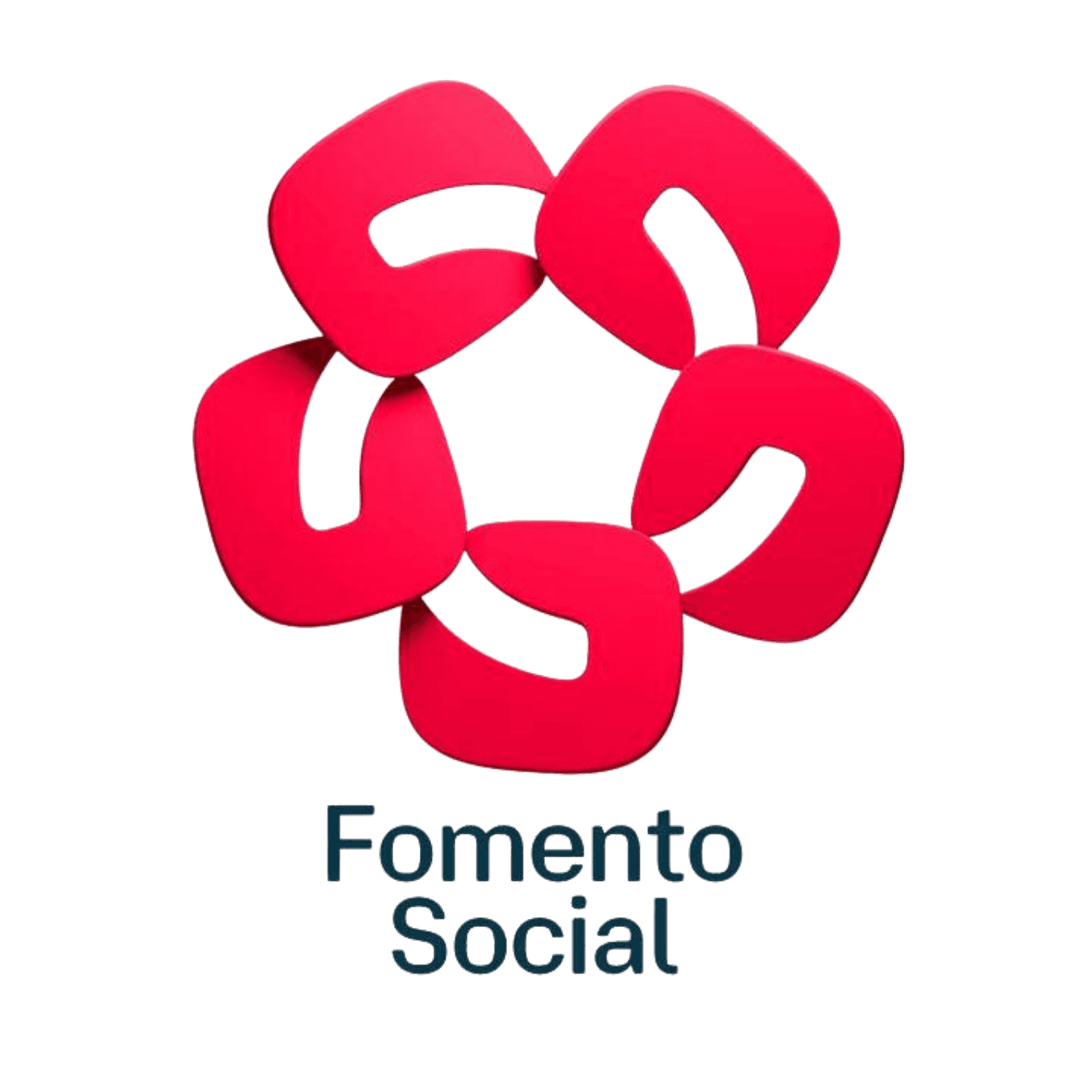 Fundación Social (Banamex)