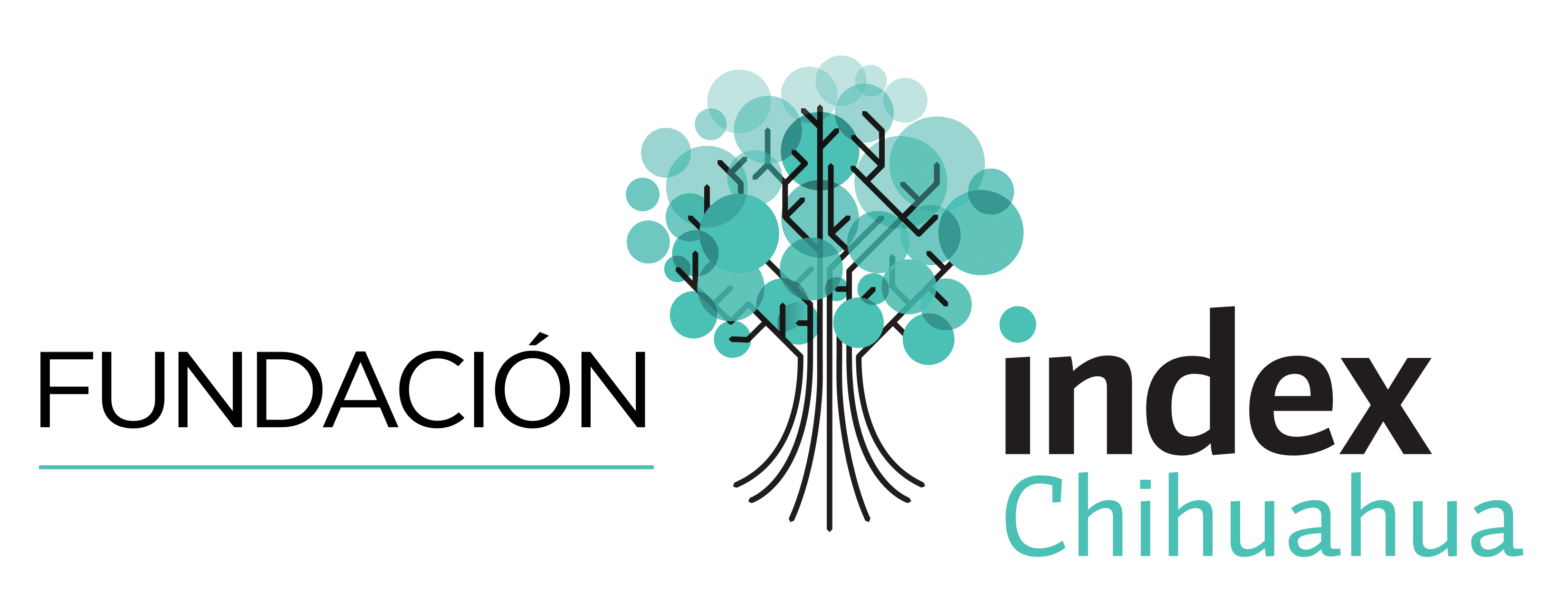 Fundación Index